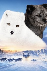 Kina i Yuk - Oglądaj online za darmo w dobrej jakości