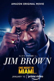 Pewnej nocy w Miami...-Oglądaj online za darmo w dobrej jakości