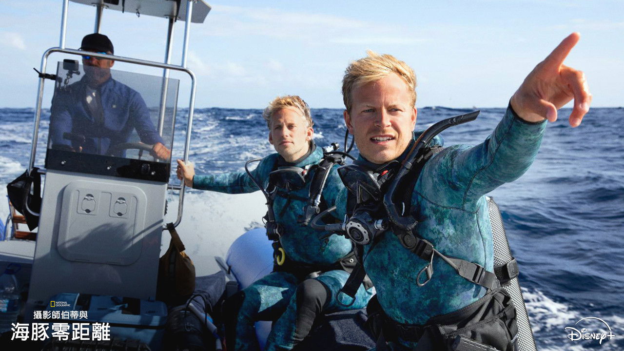 Bertie Gregory: bliskie spotkanie z delfinami