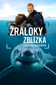 Bertie Gregory: Bliskie spotkanie z rekinami-Oglądaj online za darmo w dobrej jakości