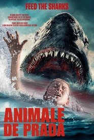 Niebezpieczne zwierzęta-Oglądaj online za darmo w dobrej jakości