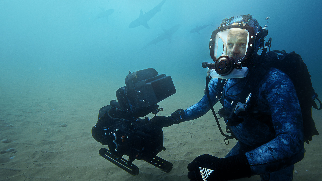 Bertie Gregory: Bliskie spotkanie z rekinami