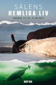 Sälens Hemliga Liv - Oglądaj online za darmo w dobrej jakości