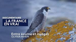 Entre Écume et nuages