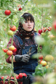 Ziemia naszych braci - Oglądaj online za darmo w dobrej jakości