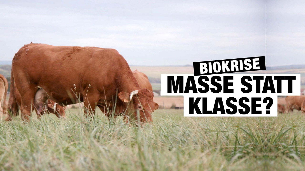 Bio, la crise de foi