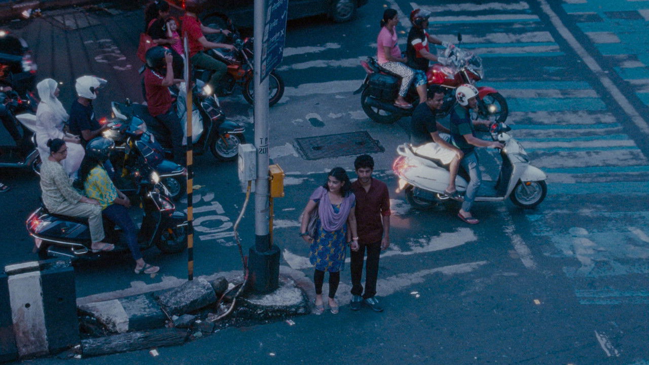 Wszystkie odcienie światła