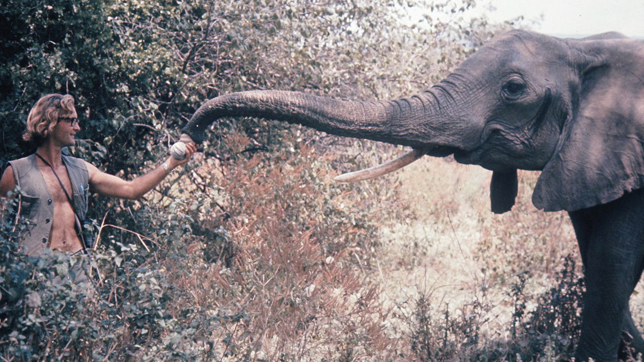 Żyjąc wśród słoni